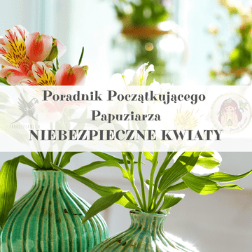 shumee Vodnik ParrotPlanet - Nevarne sobne rastline - Vodnik o papigah za začetnike
