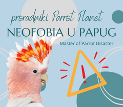 shumee Vodnik ParrotPlanet - Neofobija in neofilija - Vodnik o papigah za začetnike