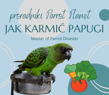 shumee Vodnik ParrotPlanet - KAKO hraniti papige - Vodnik za začetnike o papigah