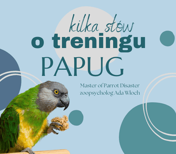 shumee Vodnik ParrotPlanet - Šolanje s papigami - Vodnik za začetnike o papigah