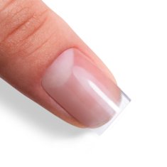 shumee Strong Base Molly Nails prozorna hibridna baza brez hema/Di-hema 10 g