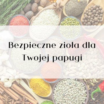 shumee Vodnik ParrotPlanet - Varna zelišča in začimbe za vašo papigo