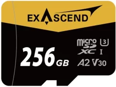 shumee Pomnilniška kartica Exascend Catalyst UHS-I micro 256 GB