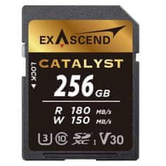 shumee Pomnilniška kartica Exascend Catalyst UHS-I V30 256 GB