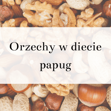 shumee Vodnik ParrotPlanet - Oreščki v prehrani papig