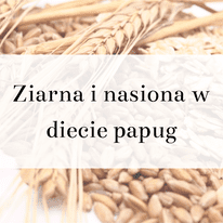 shumee Vodnik ParrotPlanet - Žita v prehrani papig