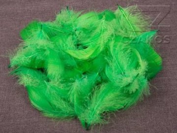 shumee Dekorativna peresa - zelena, 12 g