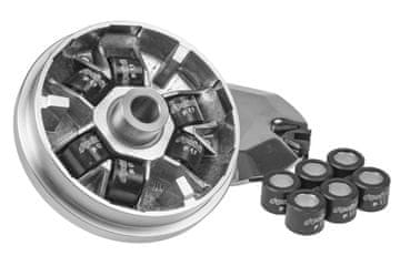 shumee Variator Polini Speed Control, Peugeot leži
