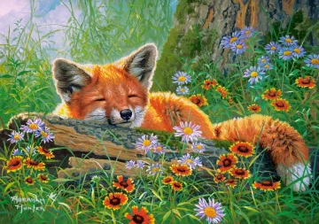 Castorland Sestavljanka 500 kosov B-53872 Foxy Dreams