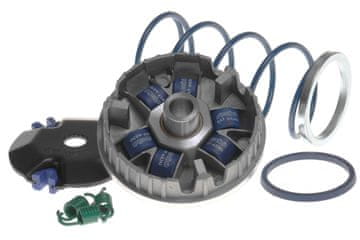 shumee Polini Hi-Speed variator, Minarelli stoji