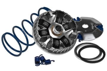 shumee Polini Hi-Speed variator, Minarelli leži