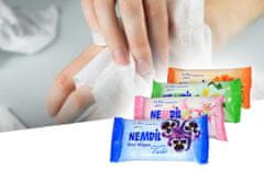 Freshmaker Freshmaker Nemdil vlažni robčki 15 kosov 1 paket