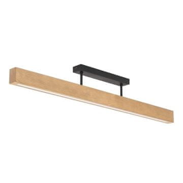 TK Lighting LED stropna svetilka 22W TEO 6619