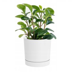 TOP GIFT DPOP350-S449 cvetlični lonček s pokrovom z odtočno cevjo P bel
