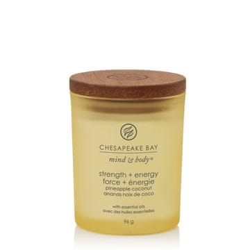 shumee Moč in energija - Chesapeake Bay Candle - majhna dišeča sveča