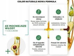 Garnier Barva za lase Garnier Color Naturals Creme 5.12 Hladno rjava