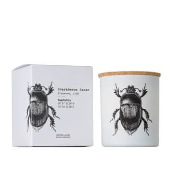 VILA Scarabeus Sacer - Vila Hermanos - dišeča sveča 190 g - serija Insect Collection