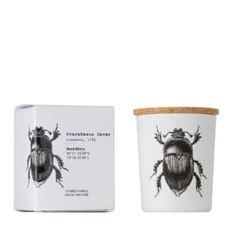 VILA Scarabeus Sacer - Vila Hermanos - dišeča sveča 75 g - serija Insect Collection