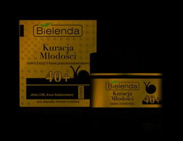 Bielenda Prof. Bielenda Youth Treatment 40+ vlažilna dnevna/nočna krema proti gubam 50 ml