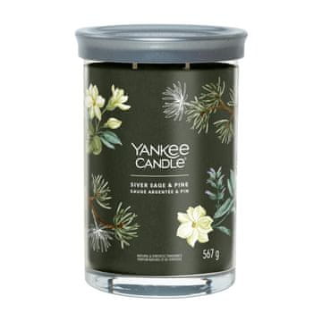 Yankee Candle Srebrna žajbelj in bor - Yankee Candle - Sveča v kozarcu z dvema stenjema