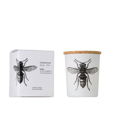VILA Calabrone - Vila Hermanos - dišeča sveča 75 g - serija Insect Collection