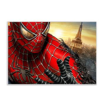 shumee Slikanje po številkah z okvirjem Slike za slikanje - Spider-Man 50x40 cm
