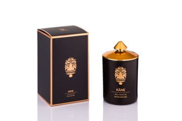 VILA Kane - Vila Hermanos - majhna dišeča sveča 200 g - serija Tribal Senses