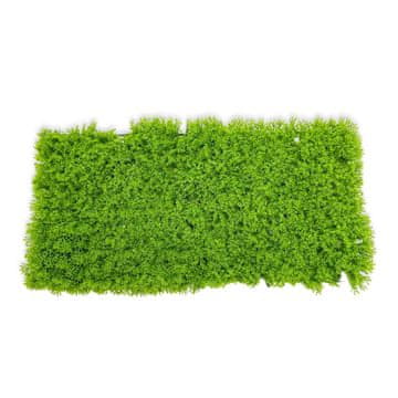 shumee BioPlant Background Umetna podloga Modularno ozadje za terarij Lišaji Svetloba 50x25cm