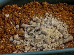 shumee Hrana za krape Carp XL Naravni peleti 8 mm/1 kg tigrovi oreščki in pekoča čili paprika