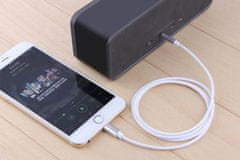ZENWIRE AUX adapter kabel Lightning Audio iPhone Mini Jack 3.5 iPhone iPad 1M Zenwire ZC-18