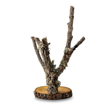 BIO BioBranch Tree 60 cm hrast plutovinast