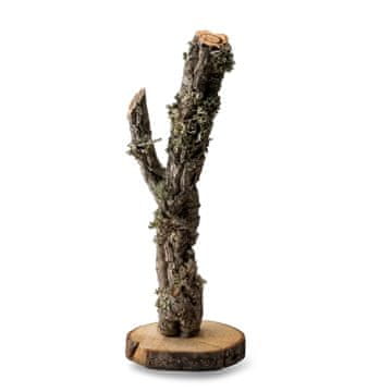 BIO BioBranch Tree 30 cm hrast plutovinast