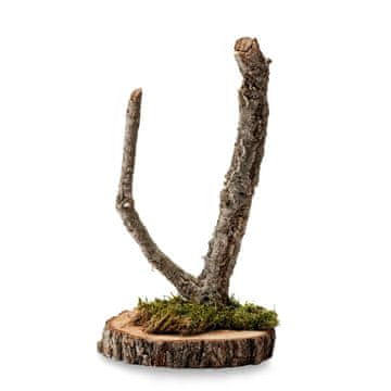 BIO BioBranch Tree 40 cm hrast plutovinast