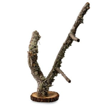 BIO BioBranch Tree 50 cm hrast plutovinast