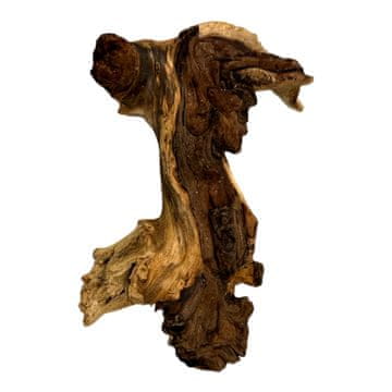 BIO BioRoot Mopani Wood S / 10-15cm / Korenina mopanija za terarij in akvarij