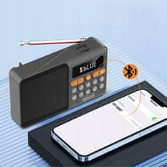 ZENWIRE Mini FM radio Bluetooth prenosni brezžični kuhinjski zvočnik na baterije