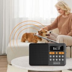 ZENWIRE Mini FM radio Bluetooth prenosni brezžični kuhinjski zvočnik na baterije