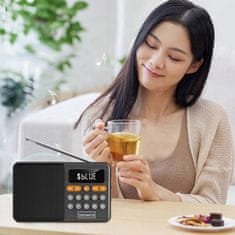 ZENWIRE Mini FM radio Bluetooth prenosni brezžični kuhinjski zvočnik na baterije