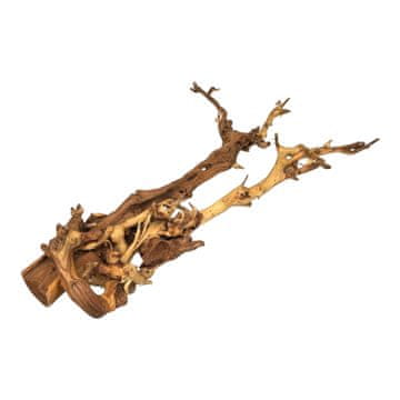 BIO BioRoot Coral Wood L / 40-60 cm / Koralni koren za terarije in akvarije