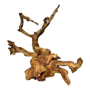 BIO BioRoot Coral Wood S / 15-20 cm / Koralni koren za terarije in akvarije