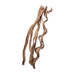 shumee Komplet 3 naravnih trt za terarij velikosti 60 cm - BioVine Set 3x60 cm