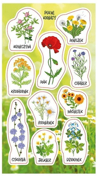 shumee *jutro 88959 Nalepke z divjimi rožami