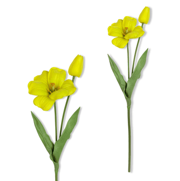 shumee Vejica - Rumen penasti tulipan 53 cm