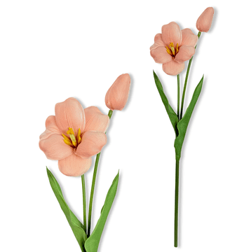 shumee Vejica - tulipan iz kavne pene 53 cm