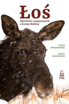 shumee Zgodbe o Gapiszonu iz regije Biebrza