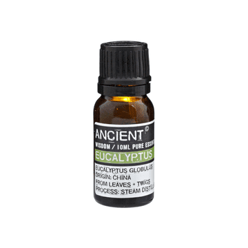 Ancient Wisdom Evkaliptus - eterično olje 10 ml