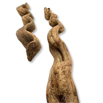 shumee BioThai Liana 4-6 cm / 50 cm