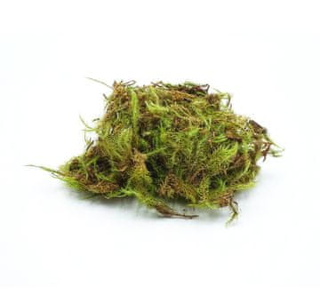 shumee BioGreen mah 25g