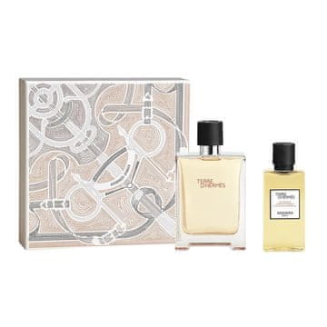 Hermès KOMPLET Hermes Terre D'Hermes EDT M 100 ml + SG 80 ml