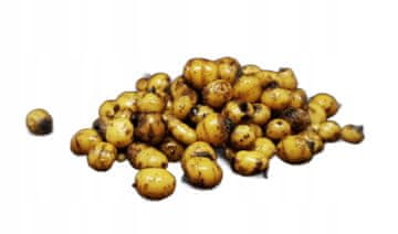 shumee Pripravljena jedrca tigrovih oreščkov TTCarp 1,0 kg